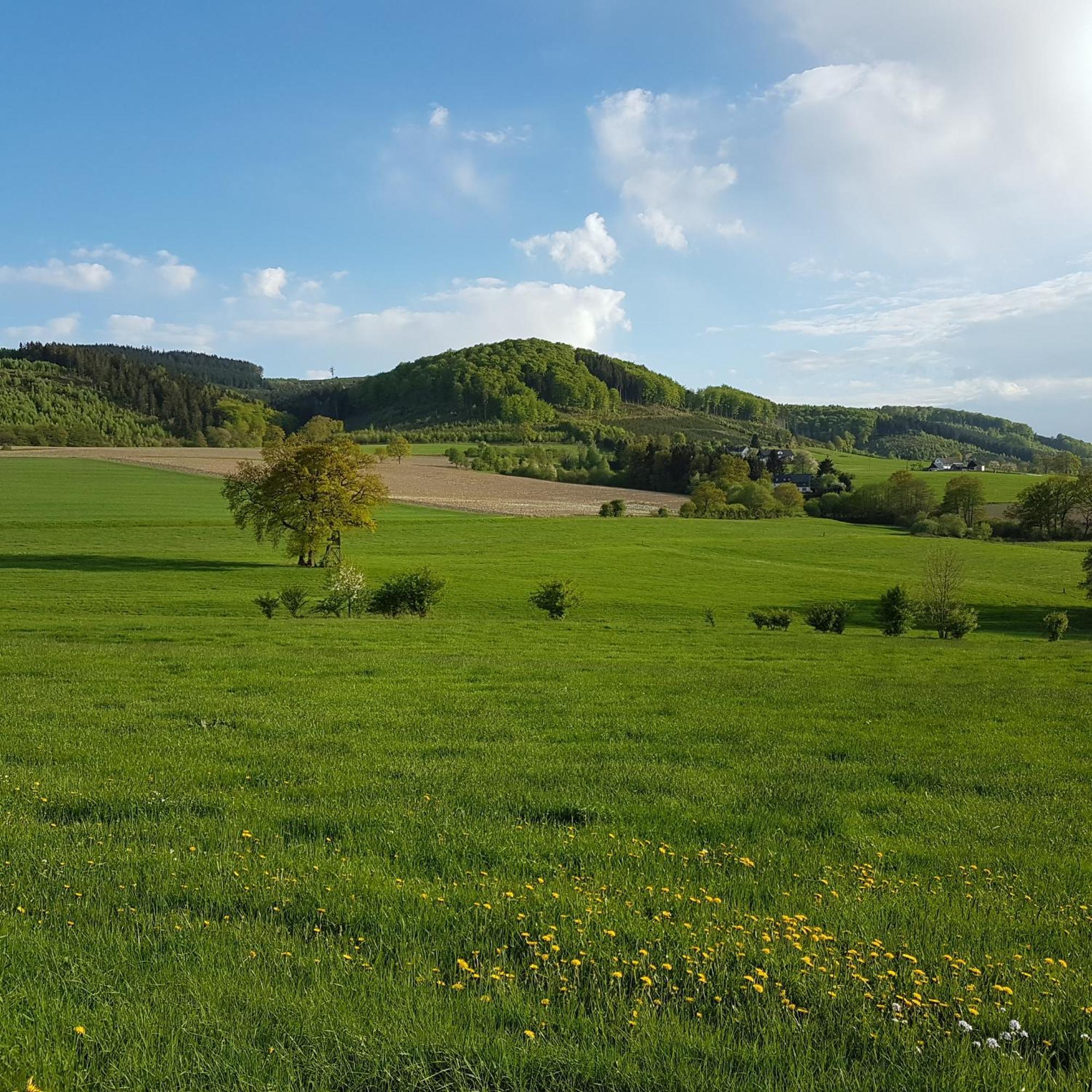 Freundliche Unterkunft Sauerland Meschede Bagian luar foto