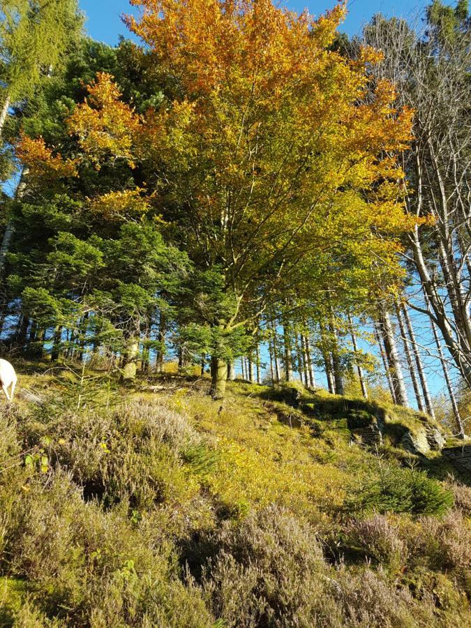 Freundliche Unterkunft Sauerland Meschede Bagian luar foto
